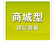 企业商城型套餐网站建设