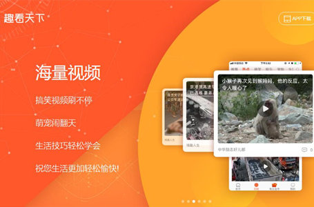 品牌网站建设，html网站建设，趣看天下app下载